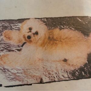 Body cooler thermal barrier pet mat cold & heat reflector NASA tech 15x20 2 mats